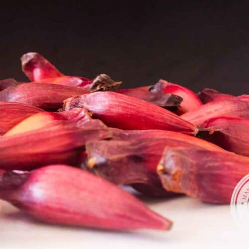 Pinhão | Delícia de Inverno - Manga com Pimenta