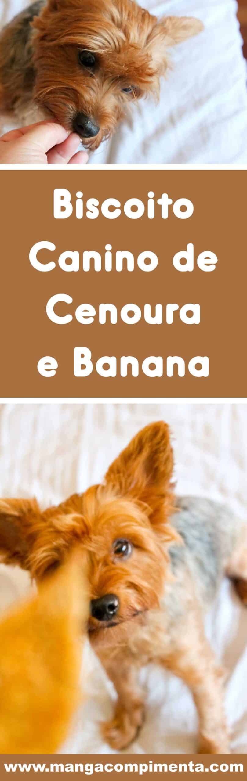 Receita de Biscoito Canino de Cenoura e Banana - um petisco caseiro e natural para o seu filho ou filha cão.