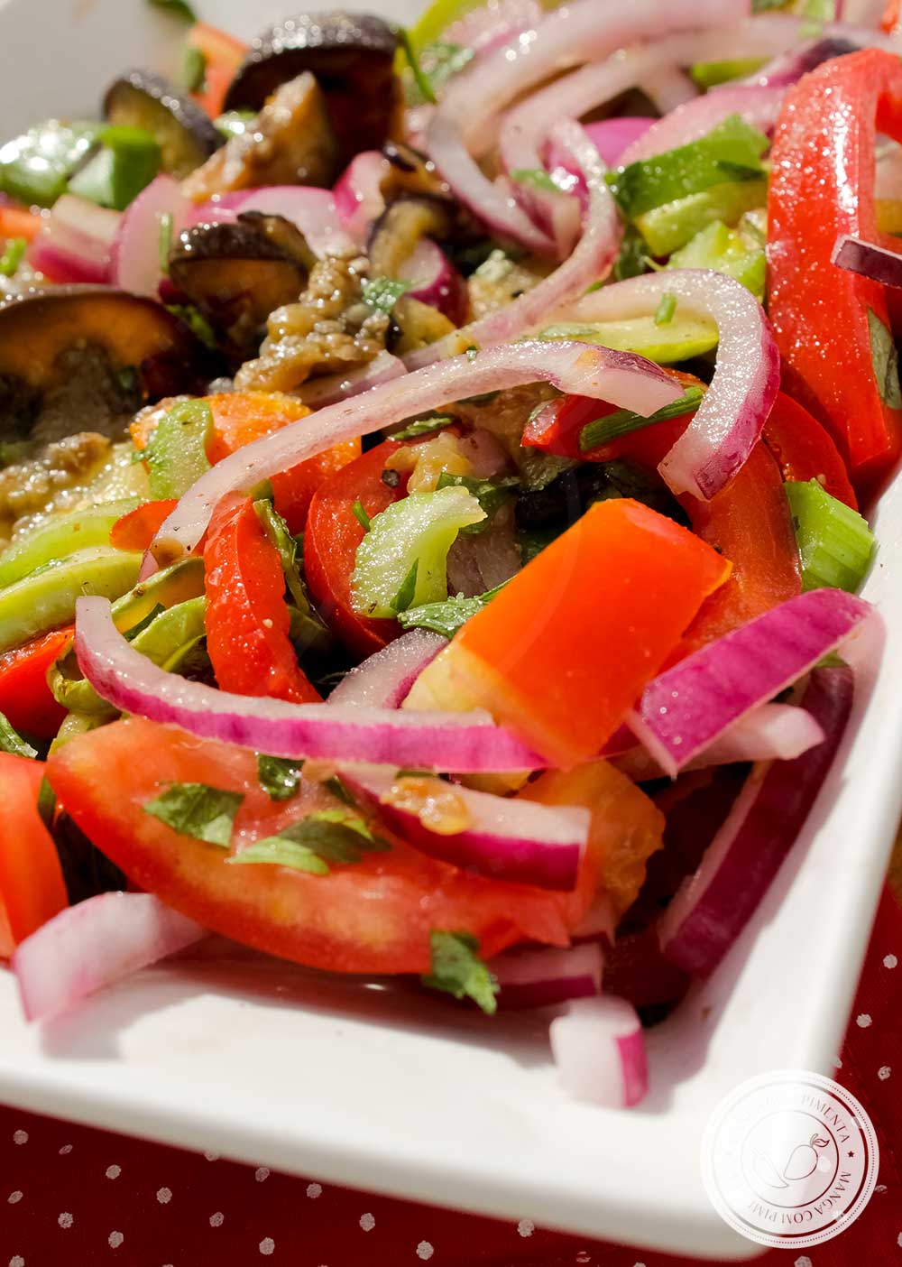 Receita de Salada de Ratatouille - uma salada de verão feita com legumes cheia de sabor.