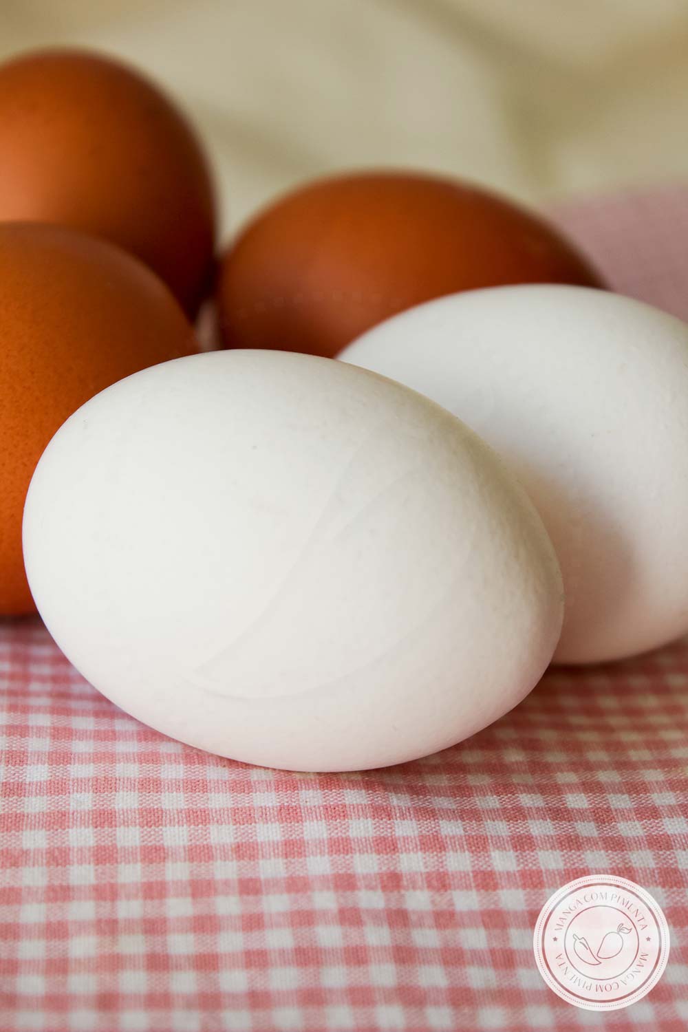 Ovos Brancos e Vermelhos, qual é a diferença entre eles? Qual é mais nutritivo? Vamos conhecer mais sobre esse alimento.