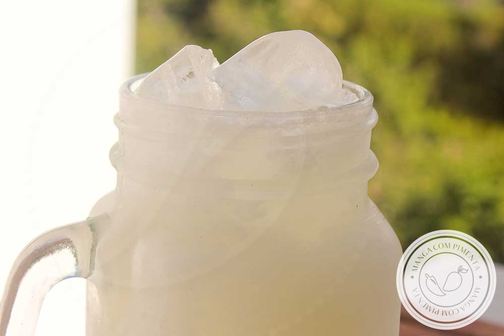 Receita de Limonada de Melão Refrescante - uma bebida nutritiva e gostosa para o verão!
