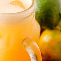 Receita de Suco de Frutas Cítricas - prepare essa bebida saborosa para o lanche da tarde.