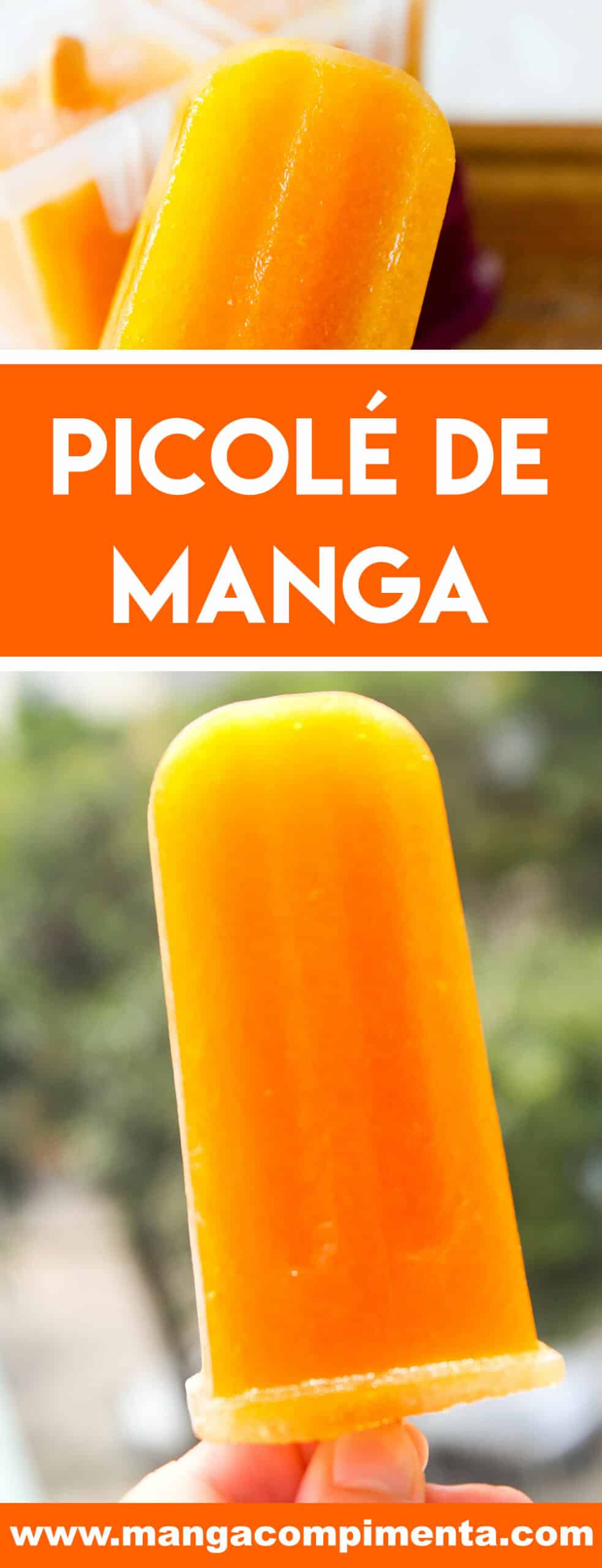 Receita de Picolé de Manga - para se refrescar nos dias quentes de verão!