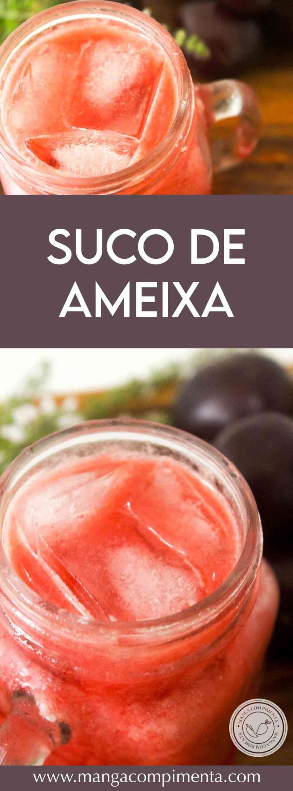 Receita de Suco de Ameixa - prepare uma bebida refrescante nos dias quentes de Verão.