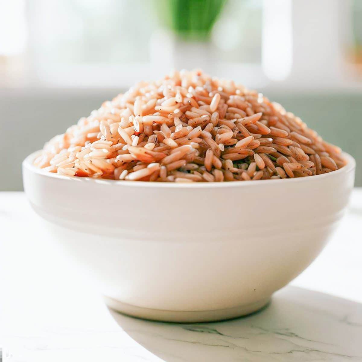 quais os beneficios do arroz integral