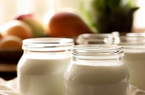 iogurte vegetal sem lactose feito com leite de arroz