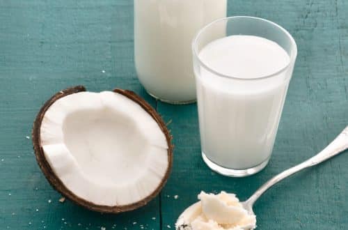 3 receitas de leite de coco caseiro
