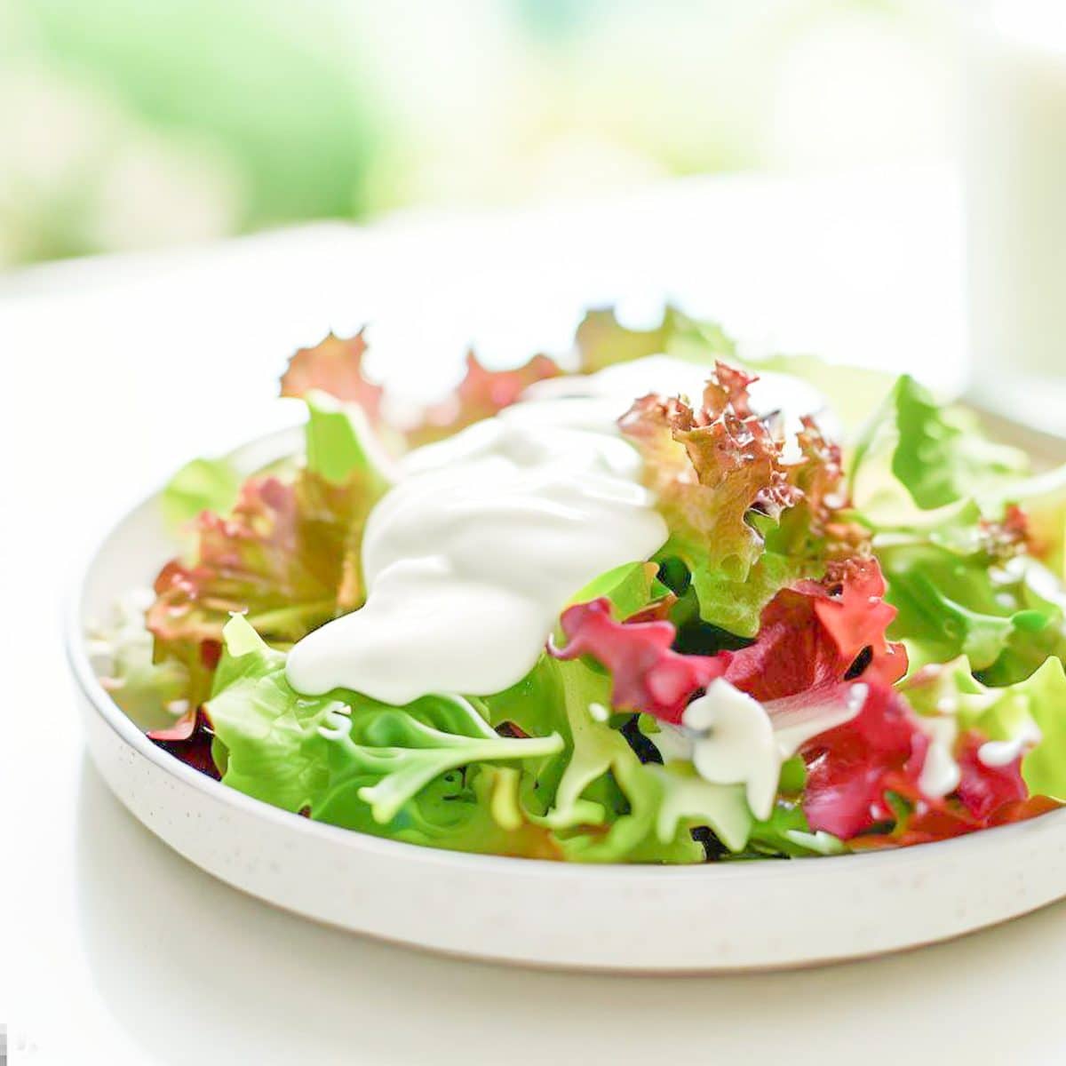 molho de iogurte grego em salada de folhas