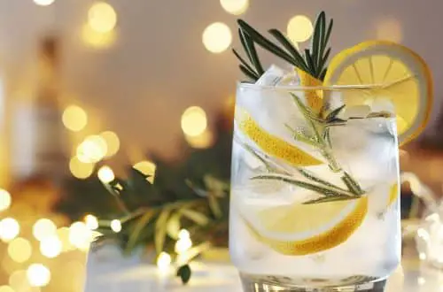 gin tônica com limão